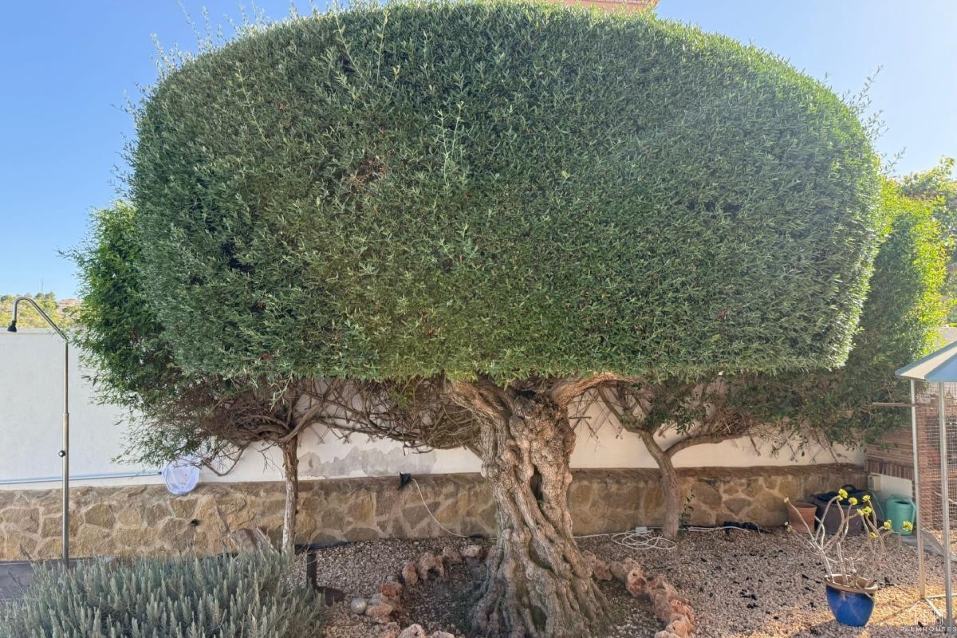 Herverkoop - Villa - San Miguel de Salinas - San Miguel de Salinas Centro