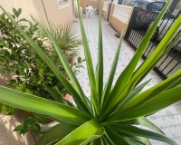 Herverkoop - Villa - San Pedro del Pinatar - Lo Pagan
