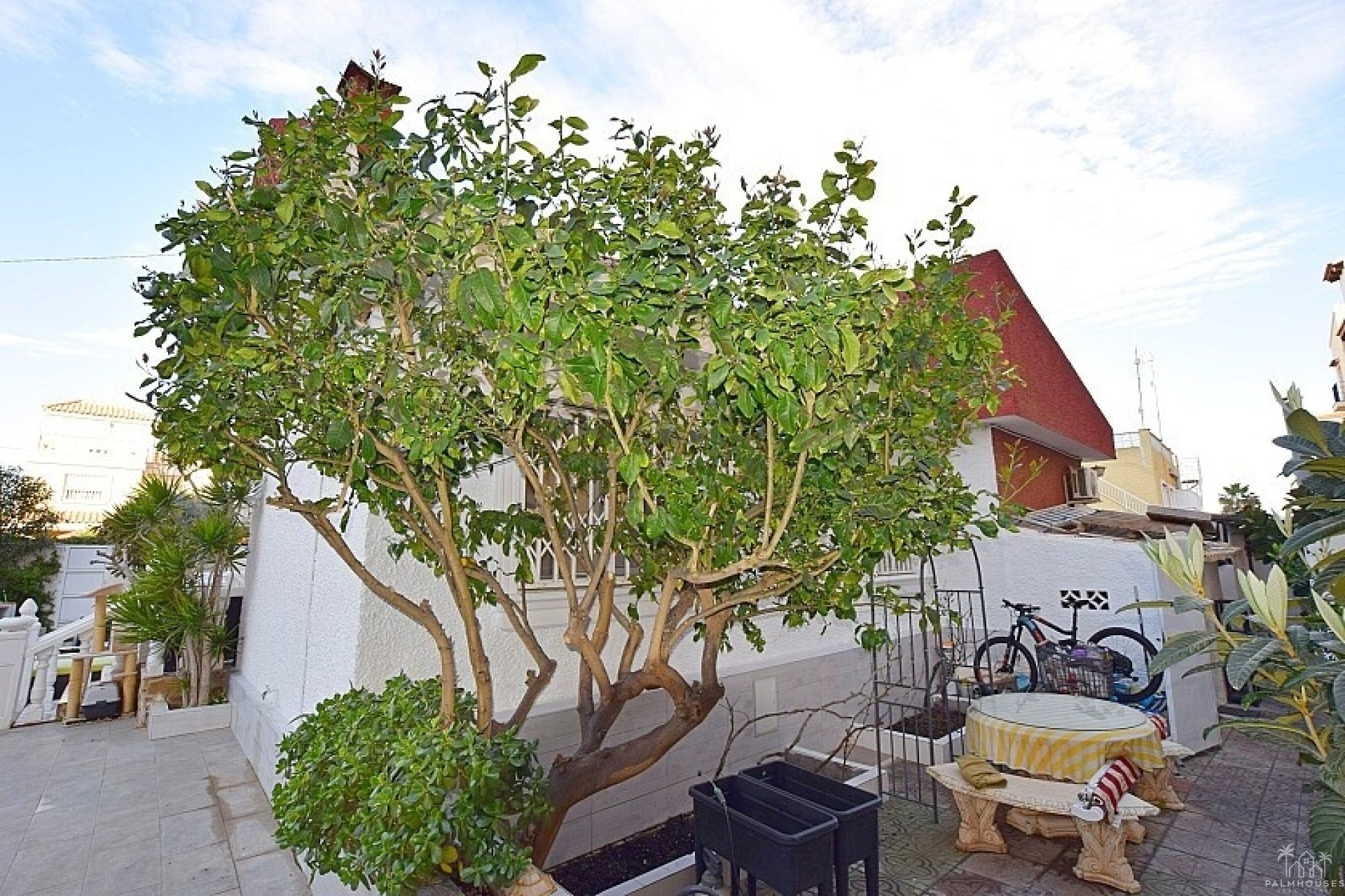 Herverkoop - Villa - Torrevieja - Torrevieja Centro
