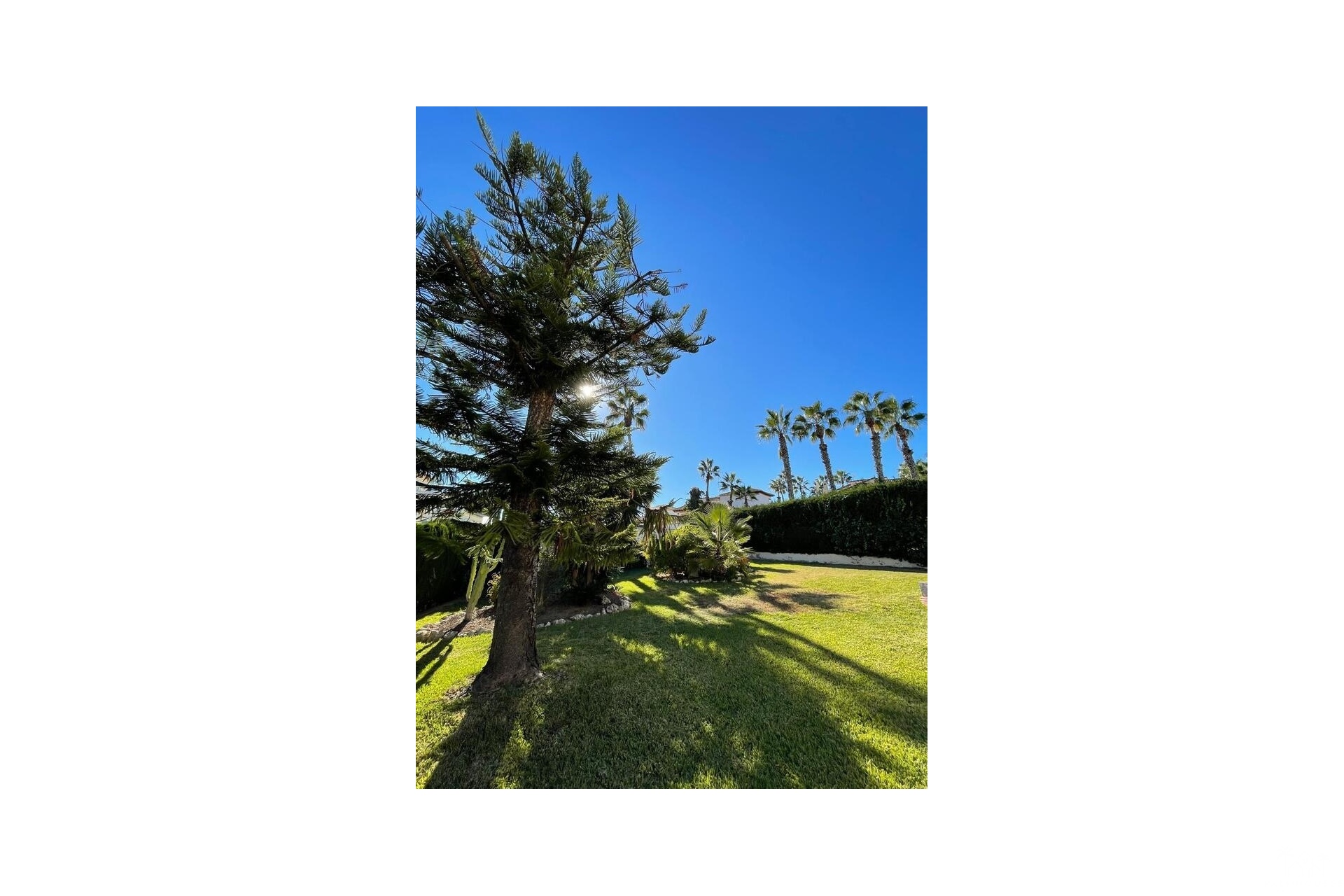 Herverkoop - Villa - Villamartin - Costa Blanca
