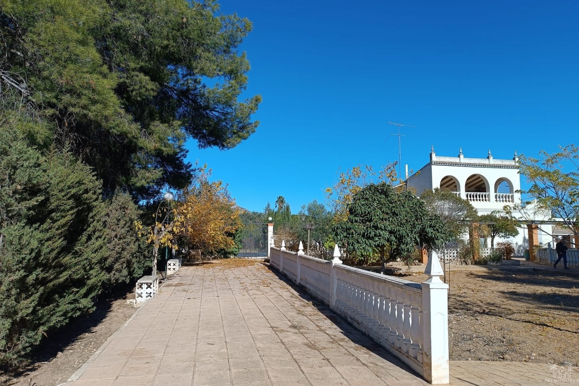 Herverkoop - Villa - Yecla - Inland