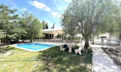 Huis - Herverkoop - Orihuela - Orihuela Centro