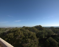 New Build - Apartments - Guardamar del Segura - Pueblo