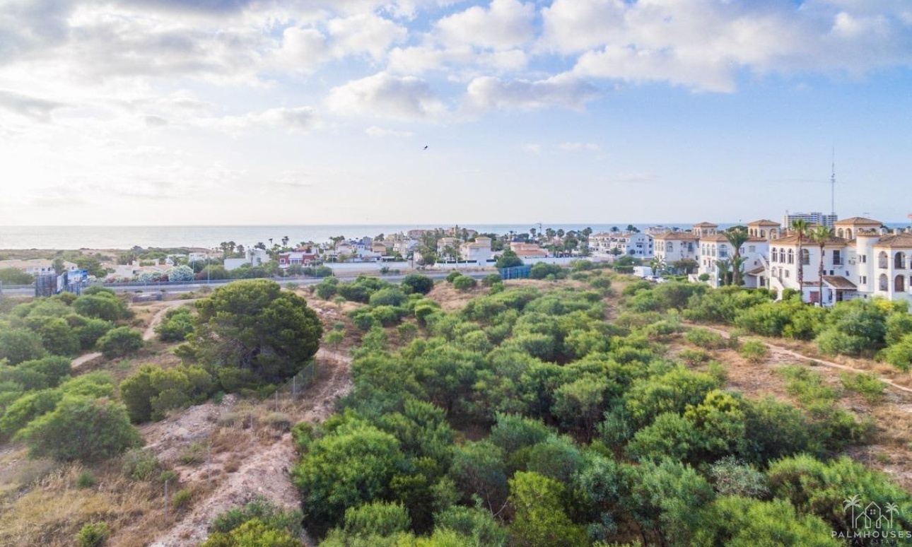 New Build - Apartments - Orihuela Costa - Playa Flamenca