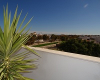 New Build - Apartments - Pilar de La Horadada - Pilar de la Horadada