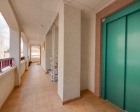 New Build - Apartments - San Fulgencio