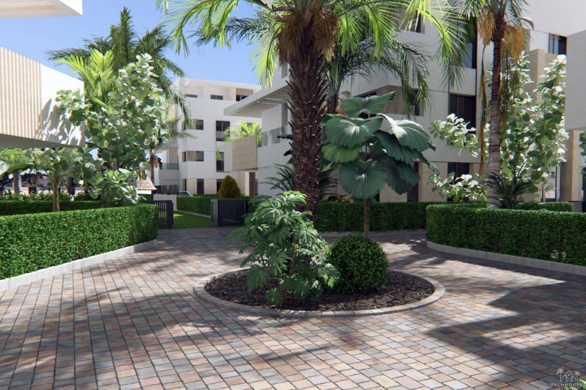 New Build - Apartments - Torre Pacheco - Santa Rosalía