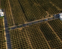 New Build - Villa - Benejuzar - alta