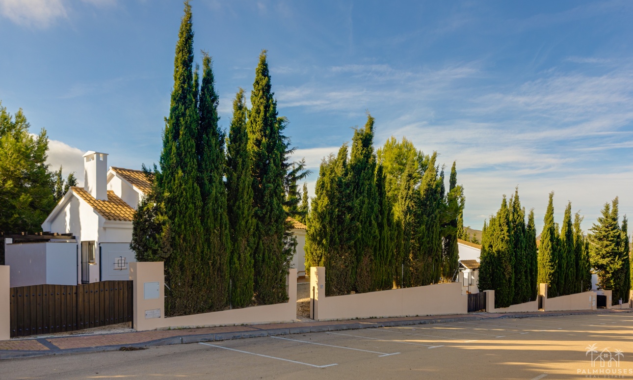 New Build - Villa - Fuente Álamo - Fuente Alamo