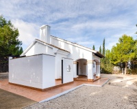 New Build - Villa - Fuente Álamo - Fuente Alamo