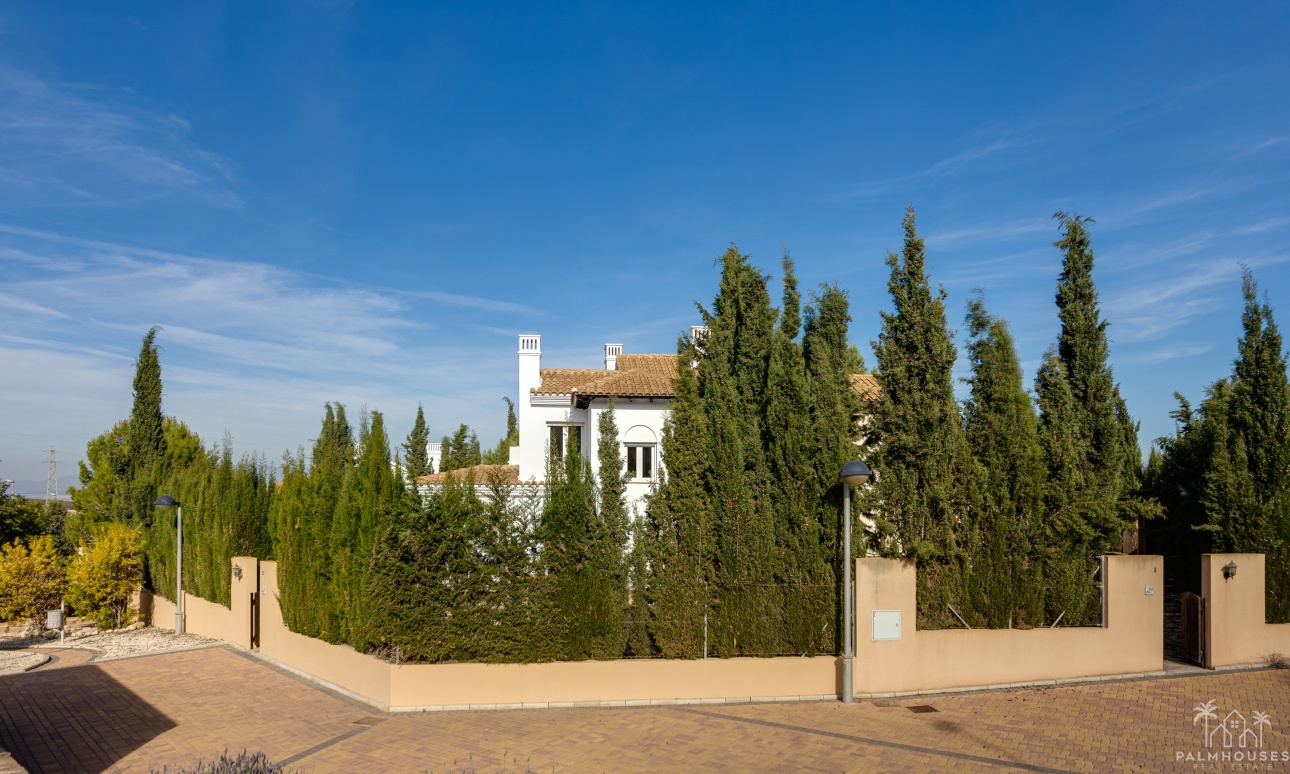 New Build - Villa - Fuente Álamo - Fuente Alamo