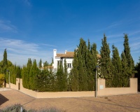 New Build - Villa - Fuente Álamo - Fuente Alamo