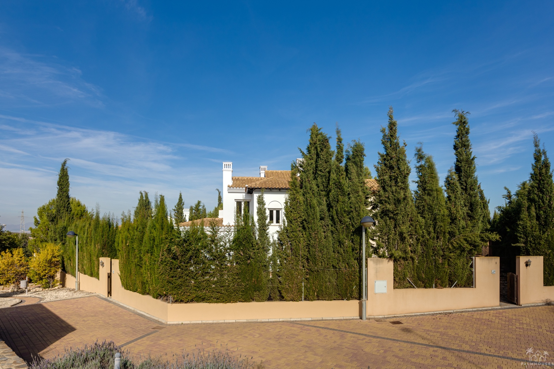 New Build - Villa - Fuente Álamo - Fuente Alamo