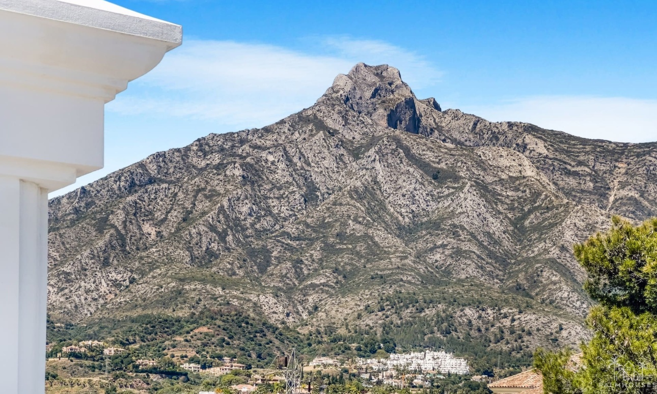 New Build - Villa - Marbella