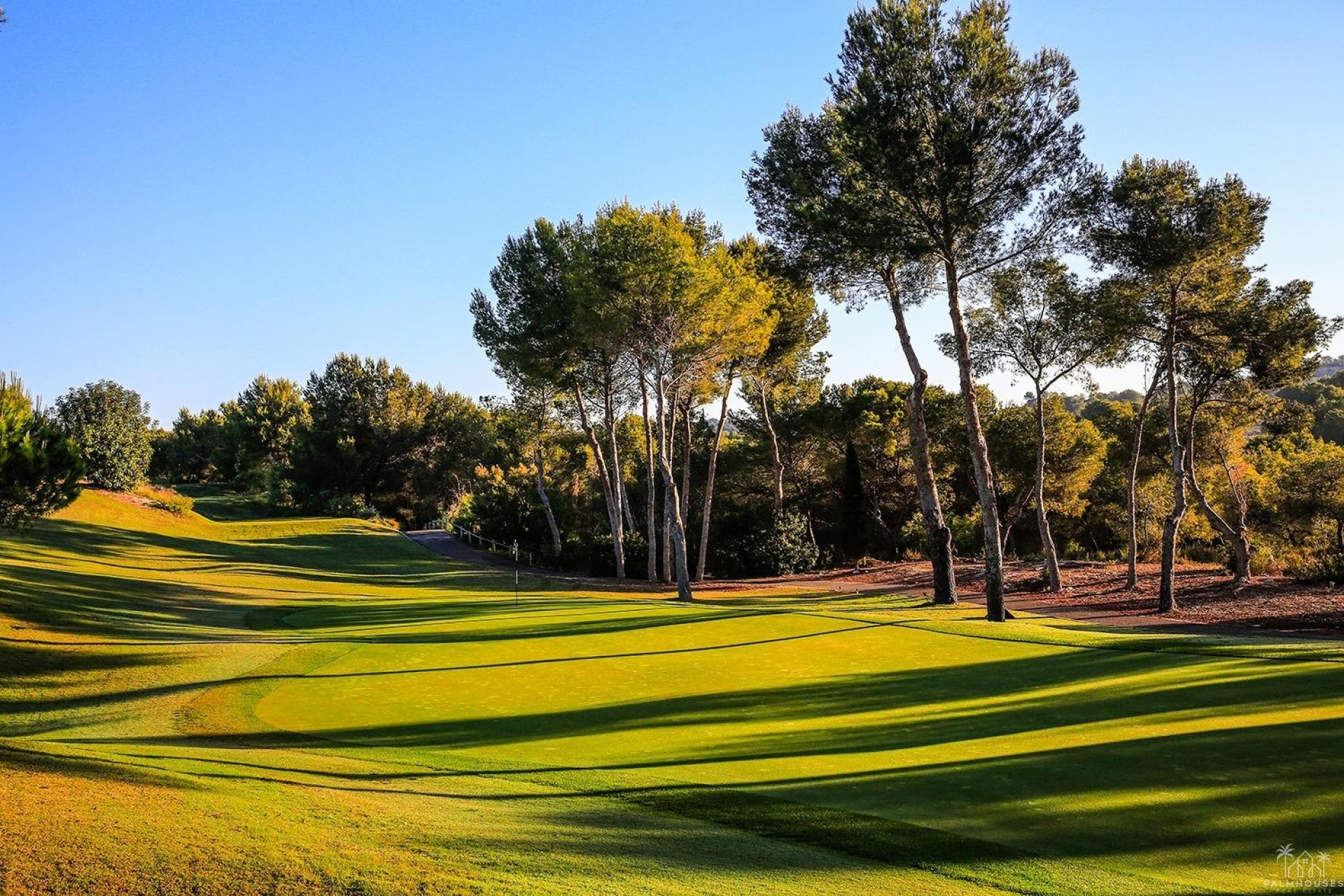 New Build - Villa - Orihuela - Las Colinas