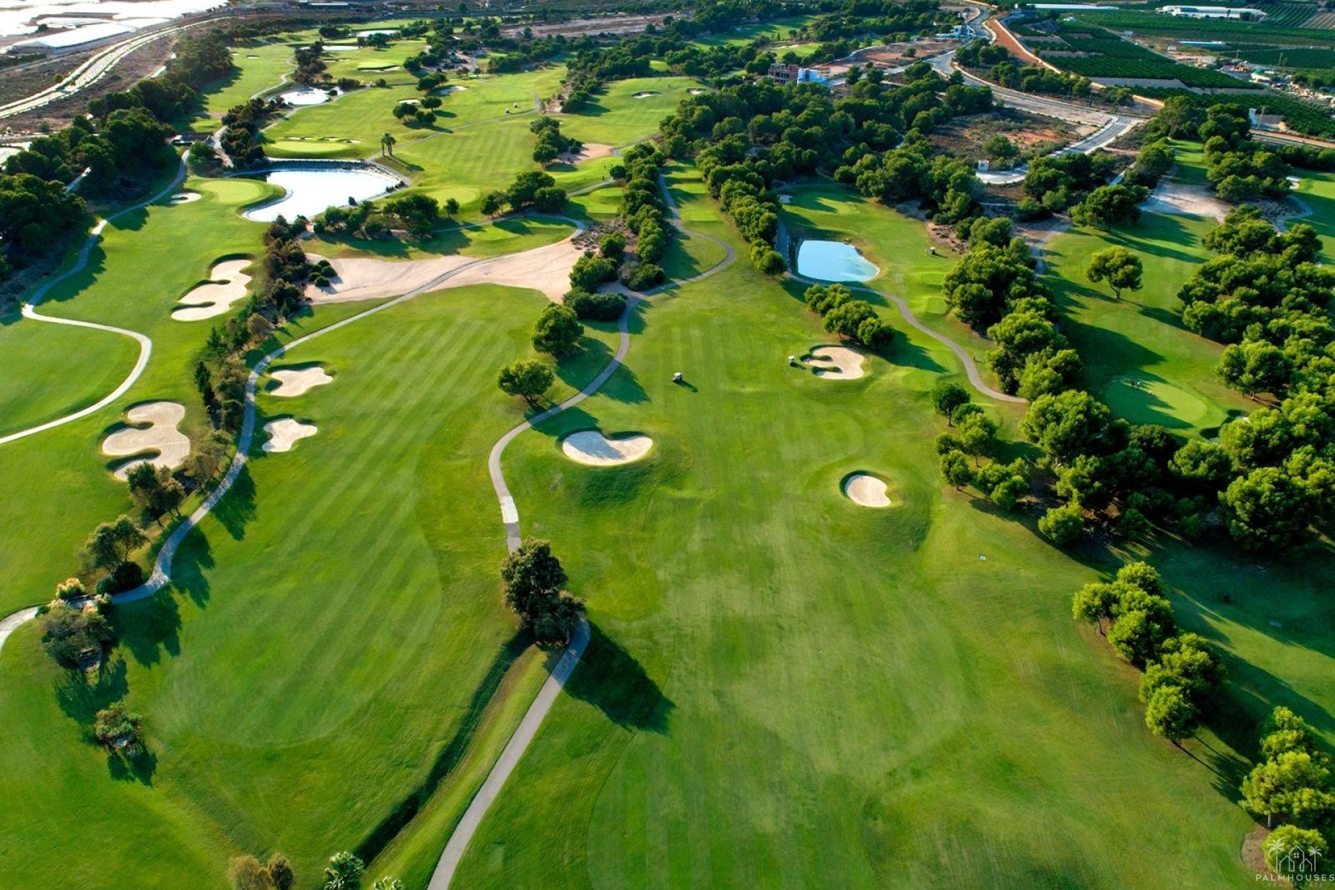 New Build - Villa - Pilar de La Horadada - Lo Romero Golf