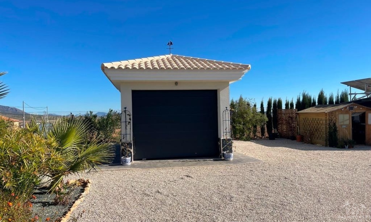 New Build - Villa - Pinoso - Camino Del Prado