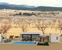 New Build - Villa - Pinoso