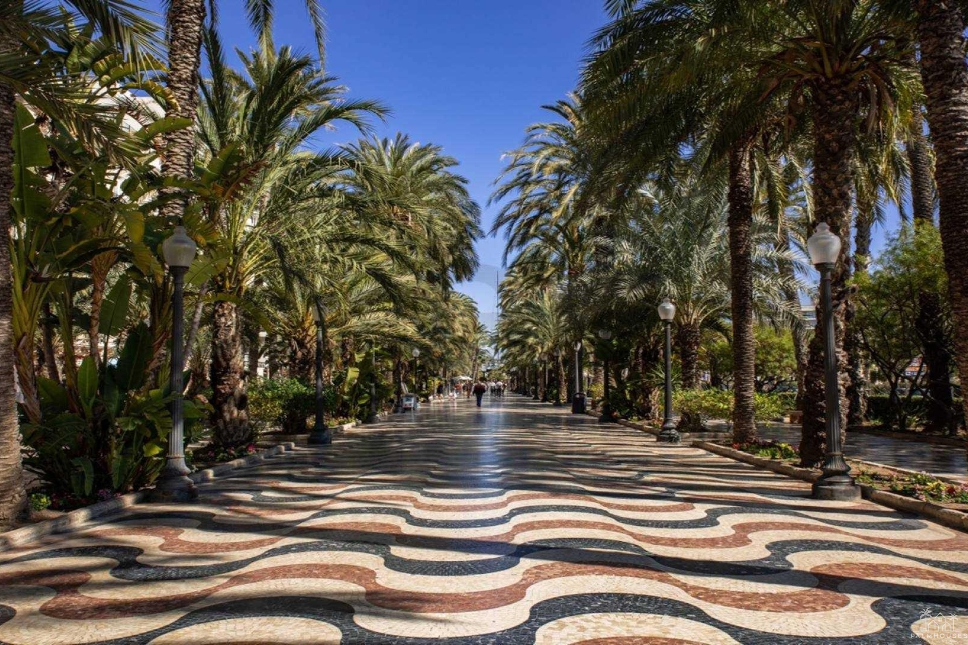 Nieuwbouw - Appartement - Alicante - Center