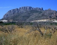 Nieuwbouw - Appartement - Alicante - El Verger
