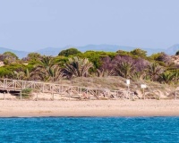 Nieuwbouw - Appartement - Guardamar del Segura - Pueblo