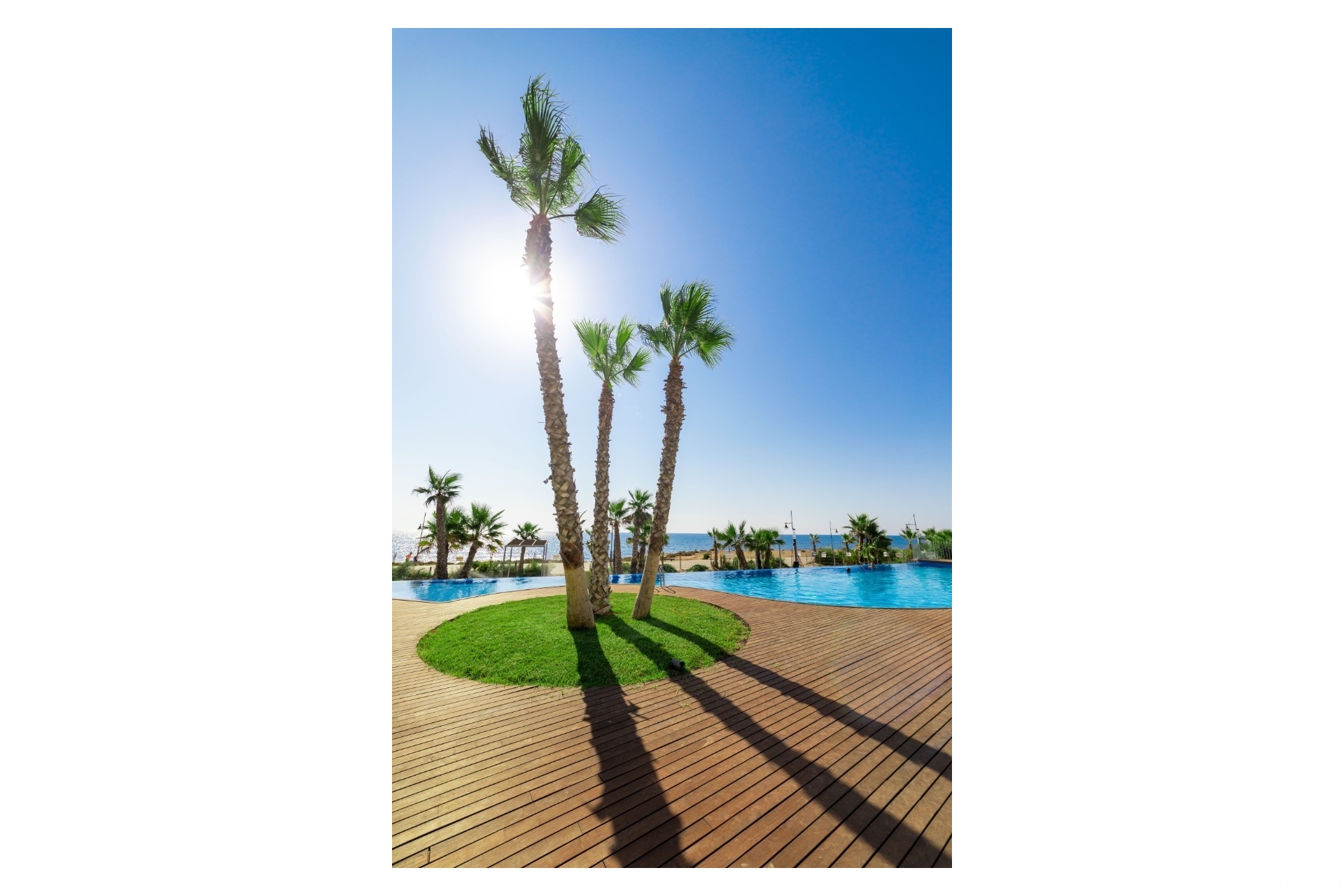 Nieuwbouw - Appartement - Torrevieja - Punta Prima