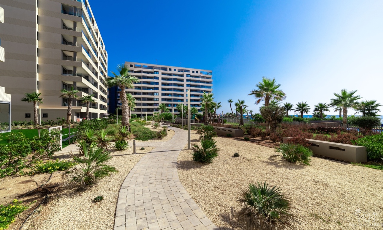 Nieuwbouw - Appartement - Torrevieja - Punta Prima