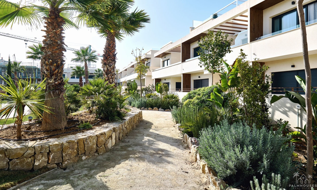 Nieuwbouw - Appartement - Torrevieja