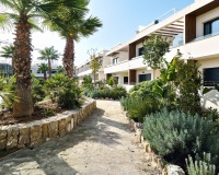 Nieuwbouw - Appartement - Torrevieja