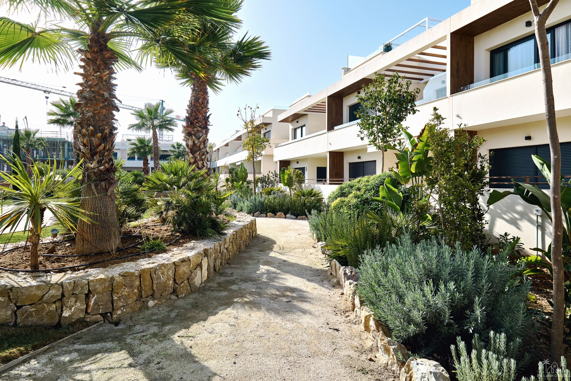 Nieuwbouw - Appartement - Torrevieja