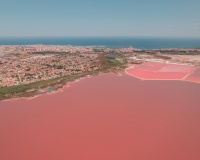 Nieuwbouw - Appartement - Torrevieja