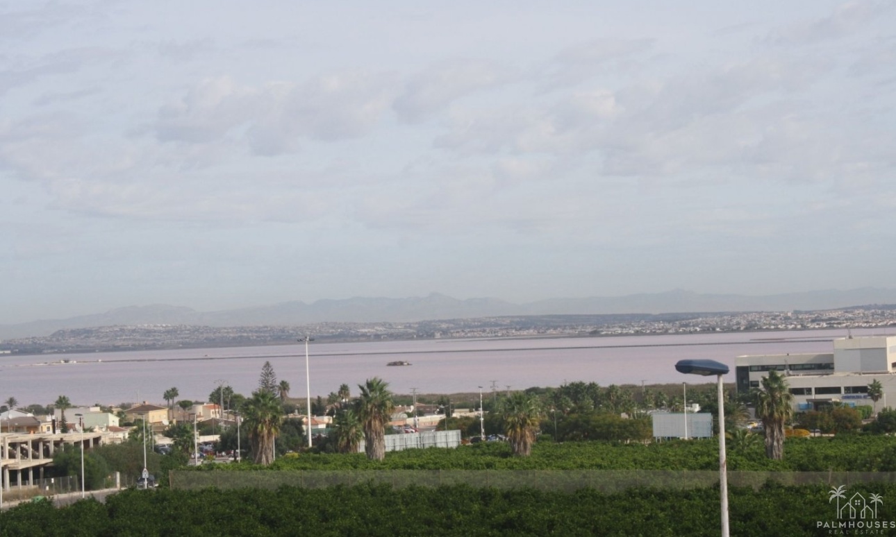 Nieuwbouw - Huis - Torrevieja - Los Altos