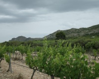 Nieuwbouw - Villa - Alicante - Yecla