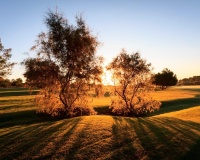 Nieuwbouw - Villa - Pilar de La Horadada - Lo Romero Golf