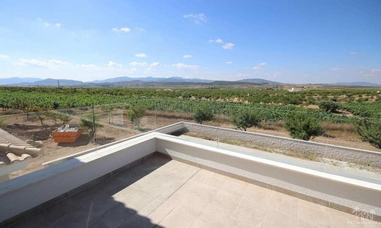 Nieuwbouw - Villa - Pinoso - Camino Del Prado