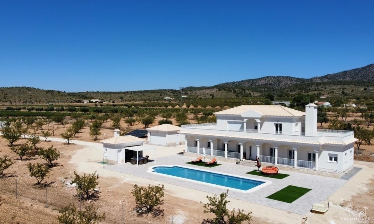 Nieuwbouw - Villa - Pinoso - Camino Del Prado