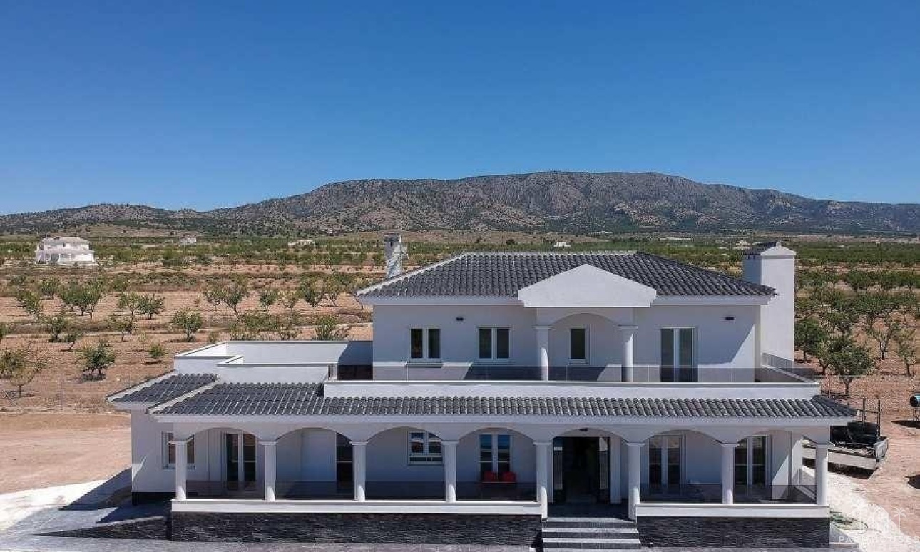 Nieuwbouw - Villa - Pinoso - Camino Del Prado