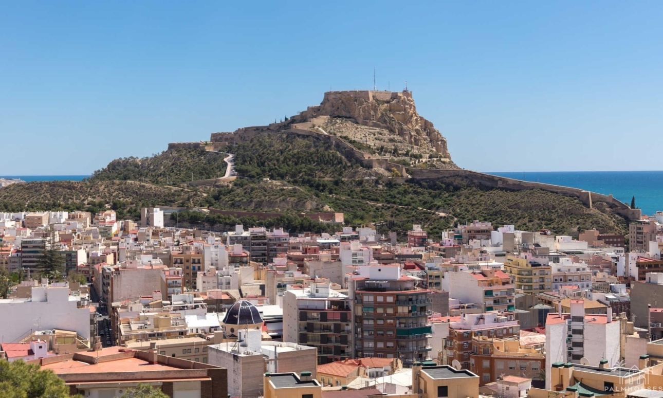Nouvelle construction - Apartment - Alicante - Center