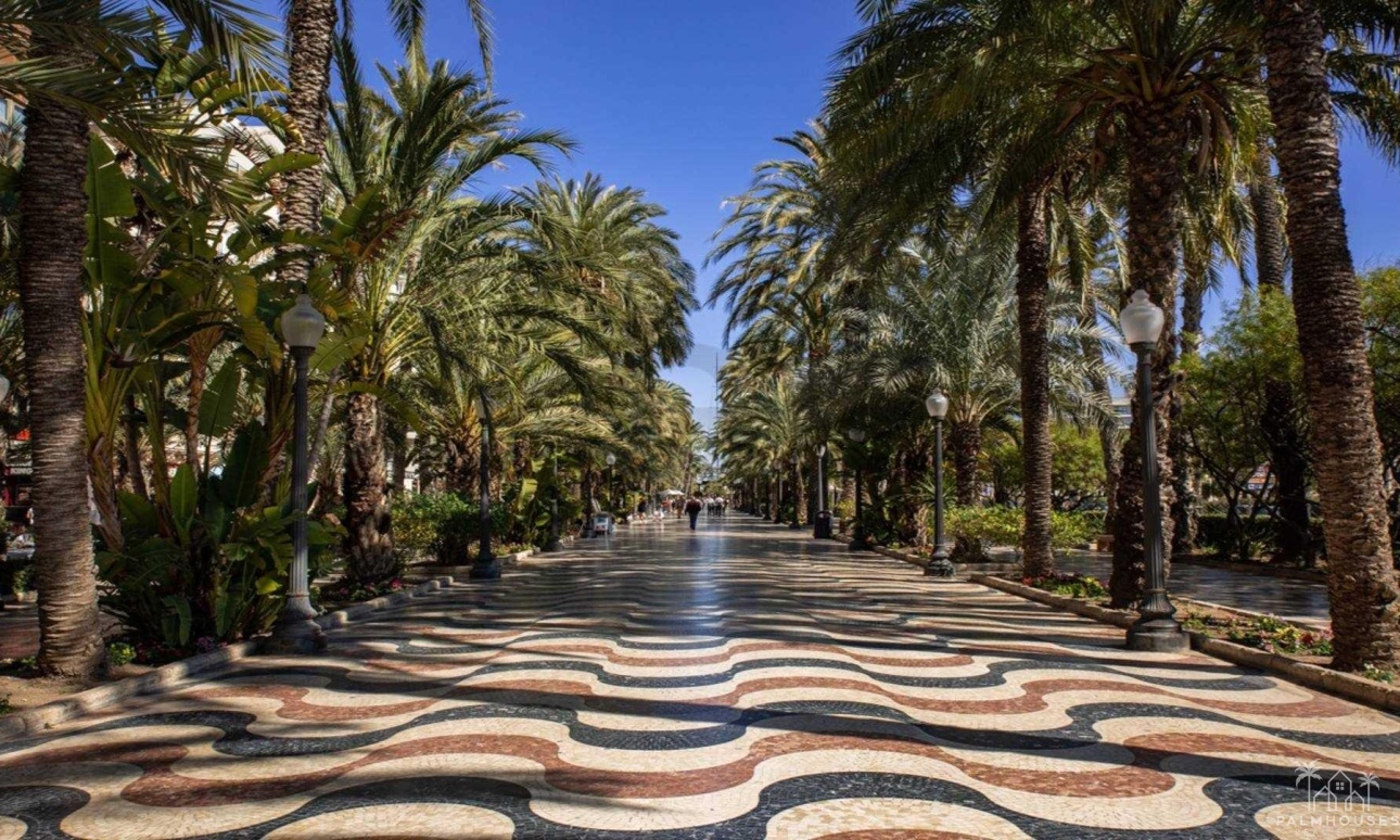 Nouvelle construction - Apartment - Alicante - Center