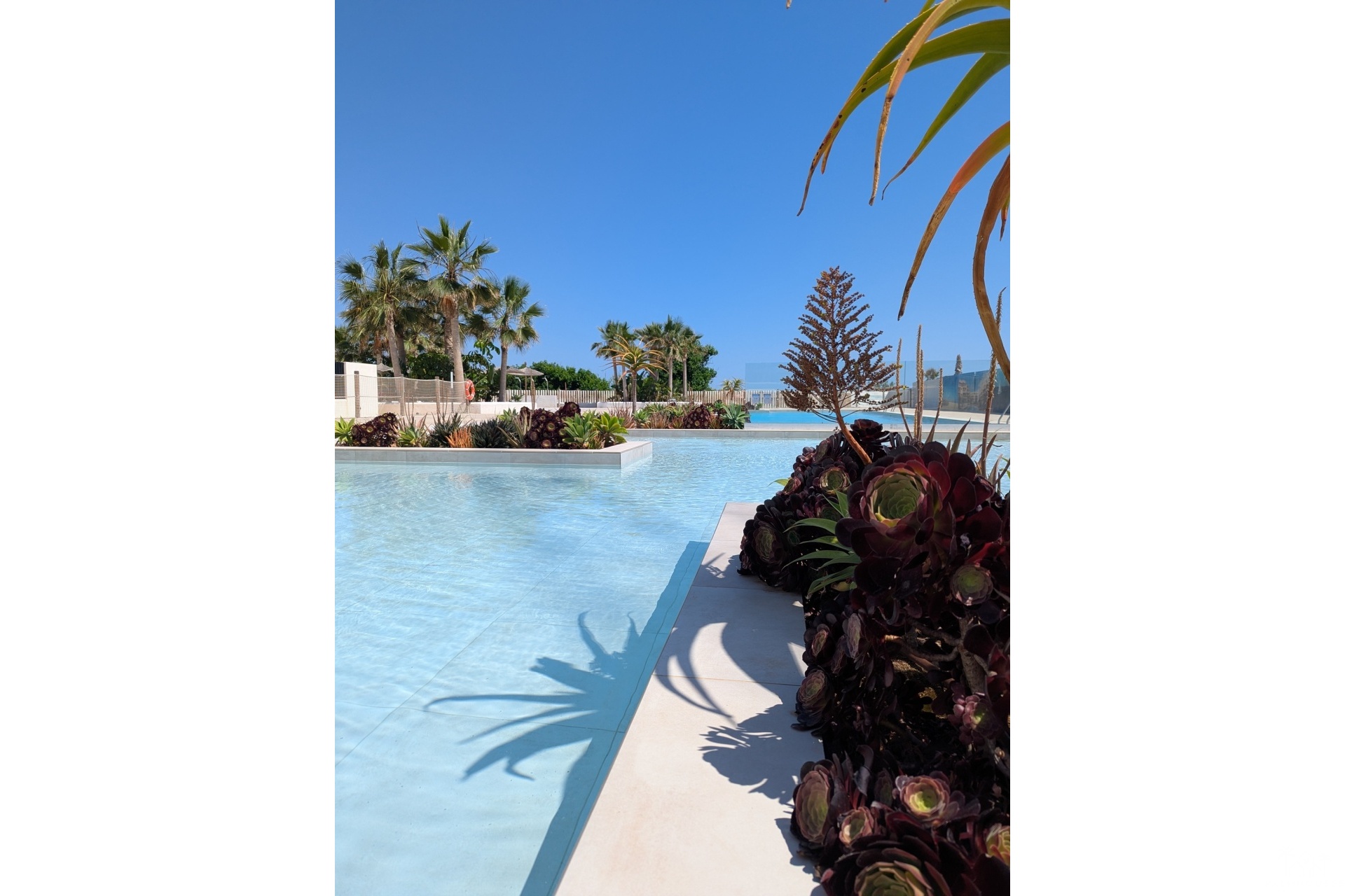 Nouvelle construction - Apartment - Denia