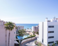 Nouvelle construction - Apartment - El Campello