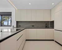 Nouvelle construction - Apartment - El Paraíso