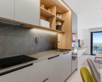 Nouvelle construction - Apartment - Guardamar del Segura