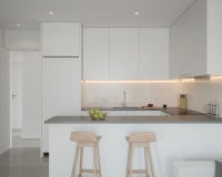 Nouvelle construction - Apartment - Guardamar del Segura