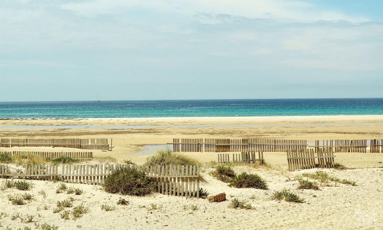Nouvelle construction - Apartment - La Manga del Mar Menor - La Manga