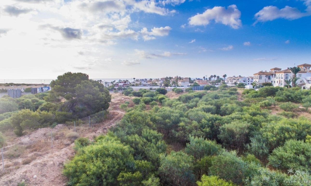 Nouvelle construction - Apartment - Orihuela Costa - Playa Flamenca