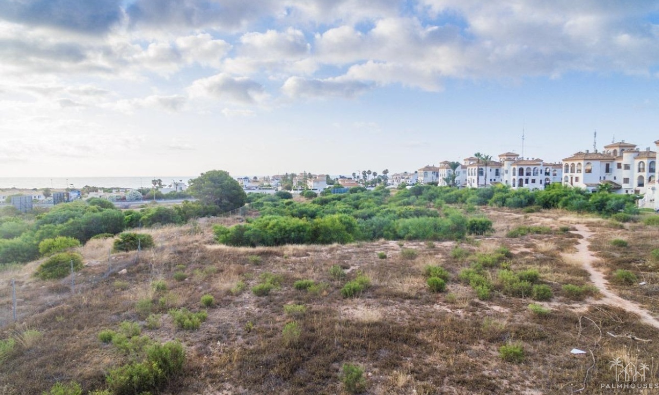 Nouvelle construction - Apartment - Orihuela Costa - Playa Flamenca
