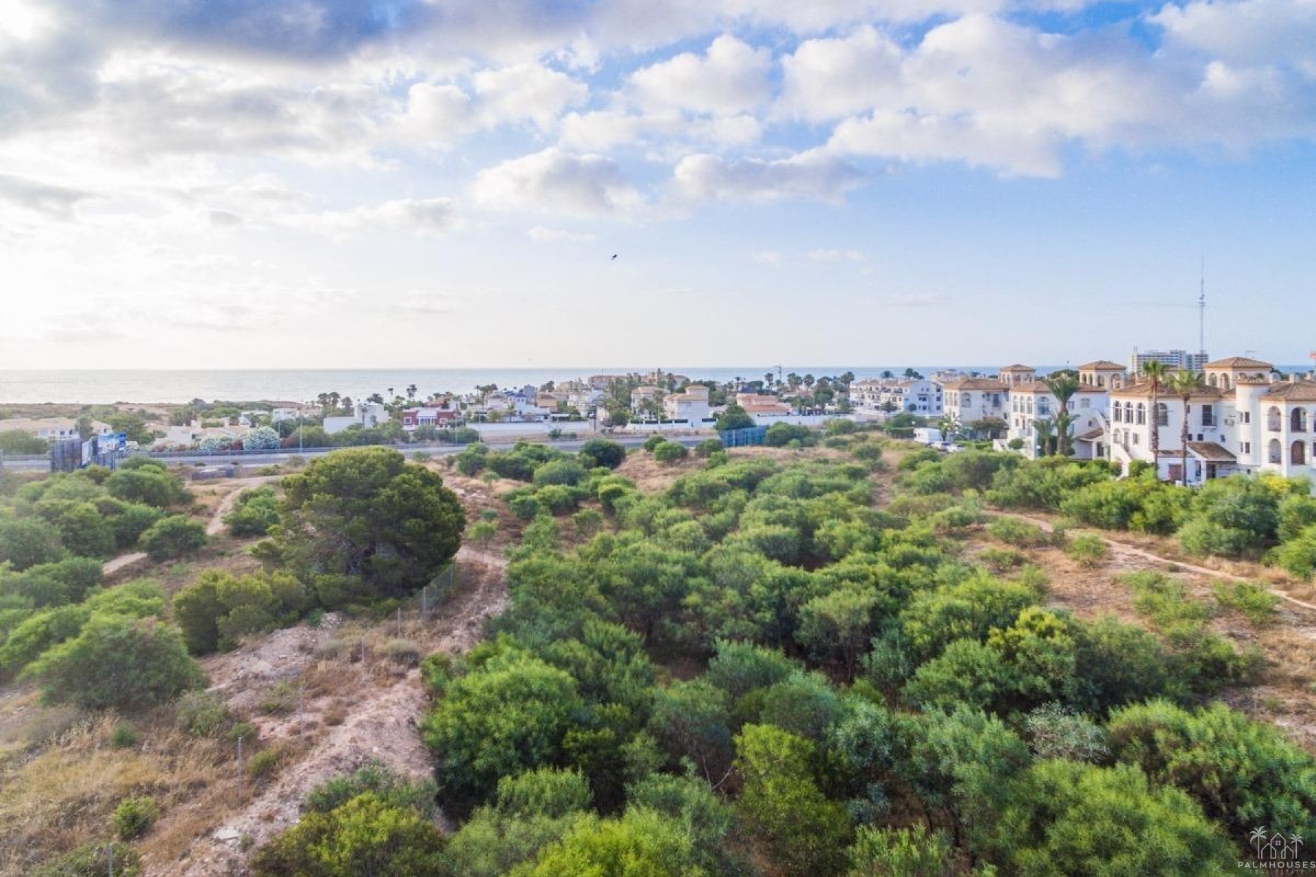 Nouvelle construction - Apartment - Orihuela Costa - Playa Flamenca