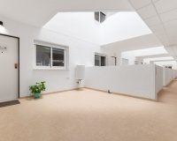 Nouvelle construction - Apartment - Orihuela Costa