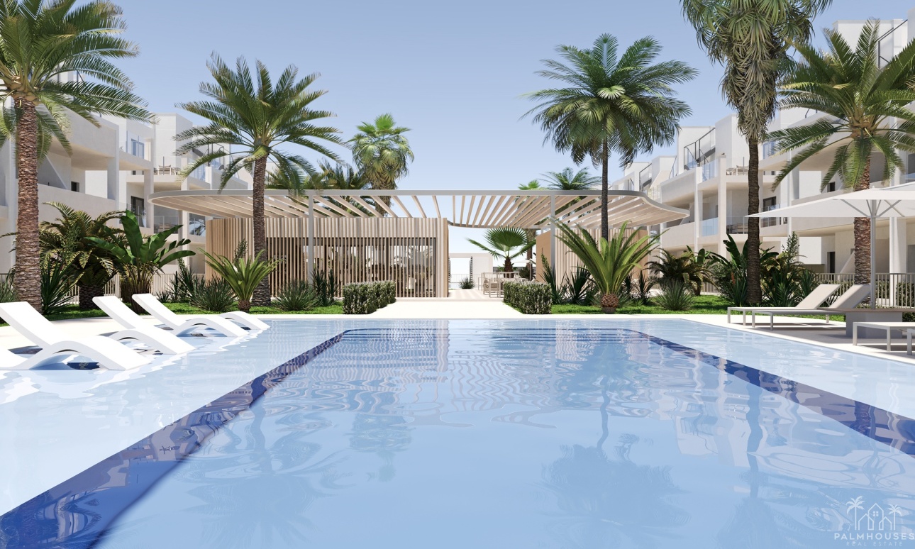 Nouvelle construction - Apartment - San Cayetano